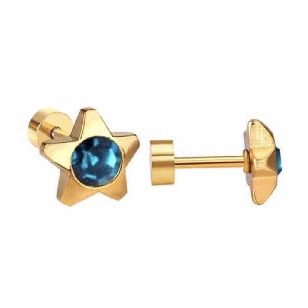 Stainless Steel Earrings Birthstone Star