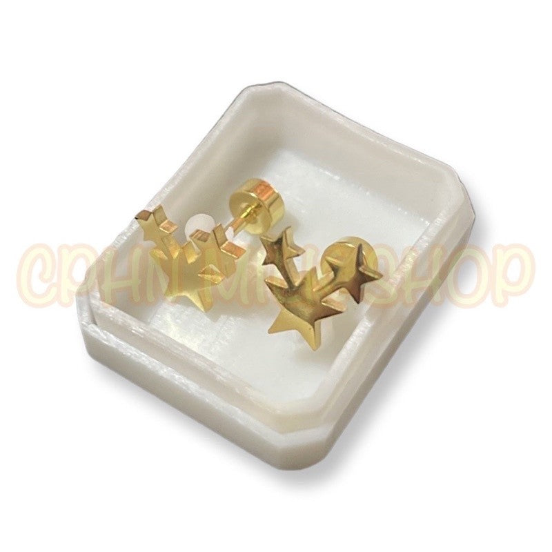 Stainless Steel Earrings Stars