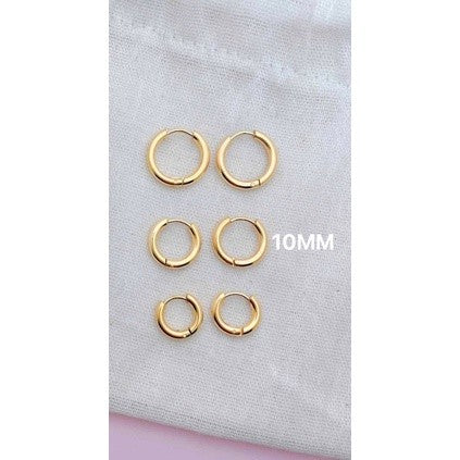 Stainless Steel Earrings Loop