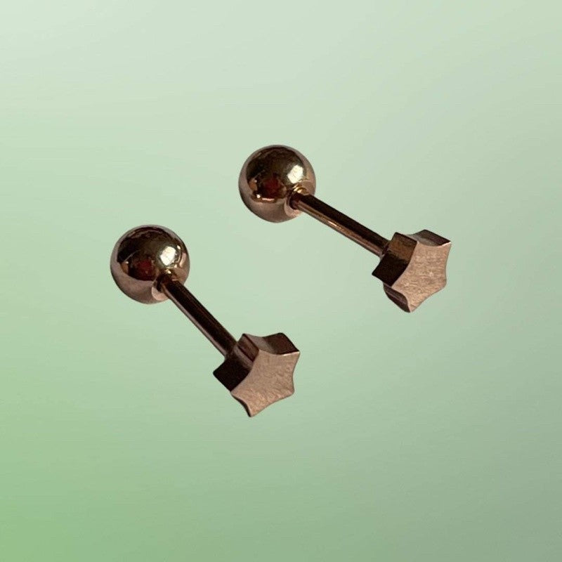 Stainless Steel Earrings Star Rosegold