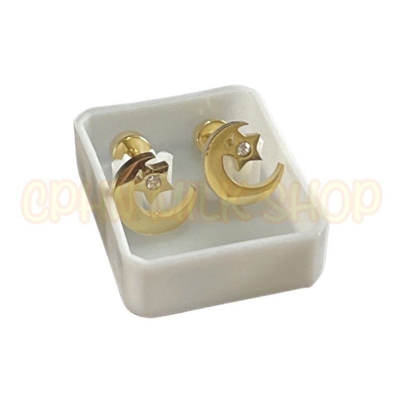 Stainless Steel Earrings