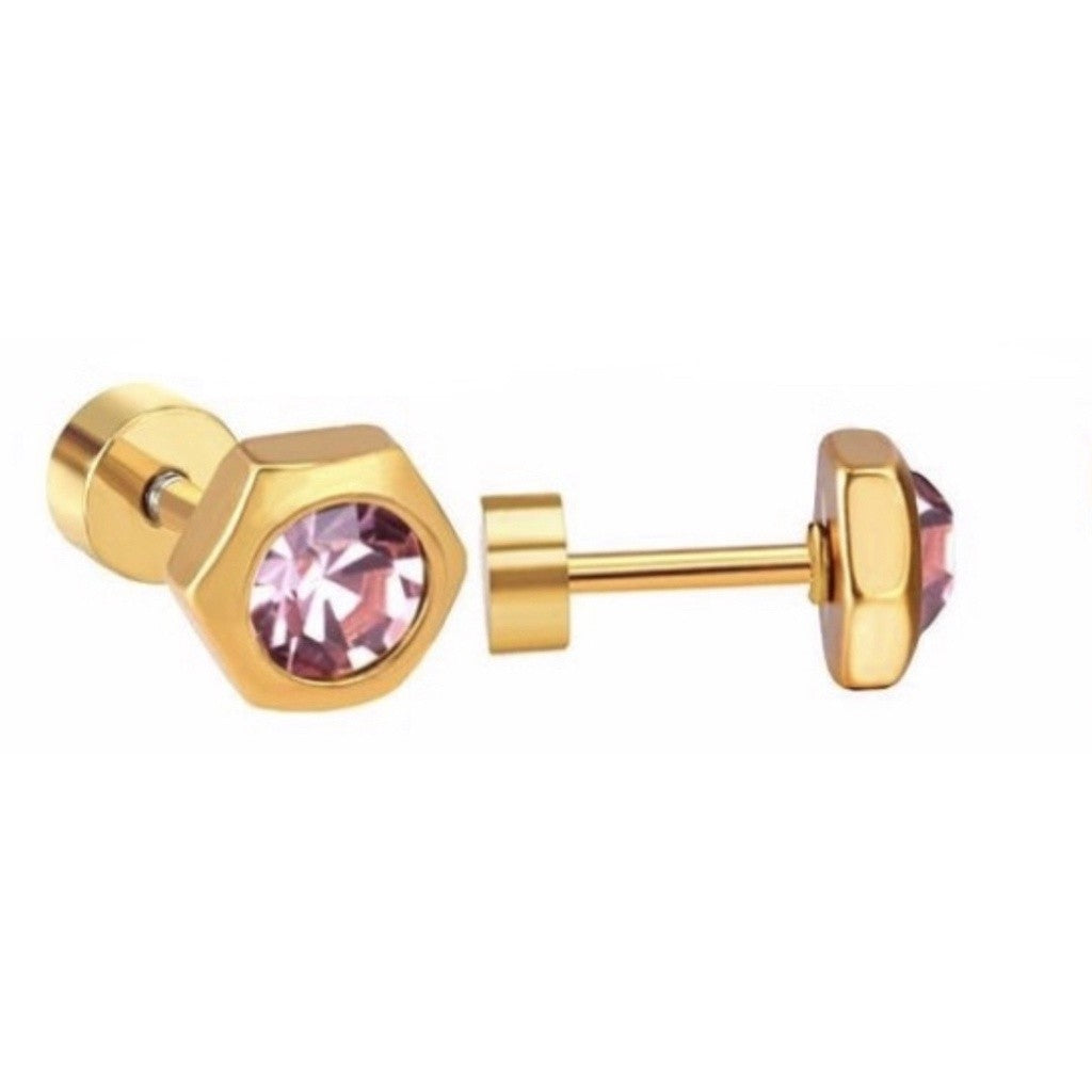 Stainless Steel Earrings Birthstone Hexagon