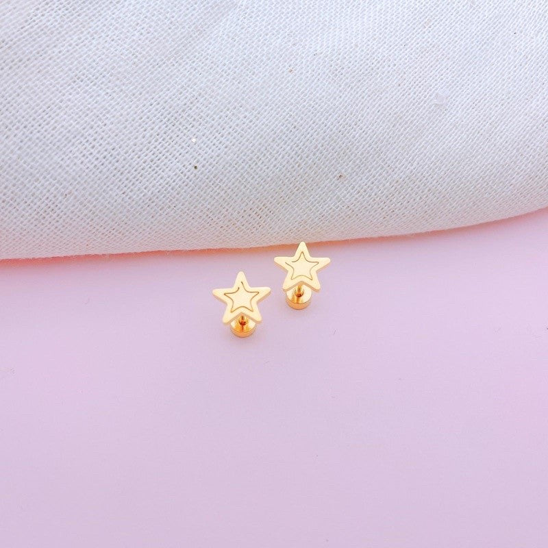 Stainless Steel Earrings Star