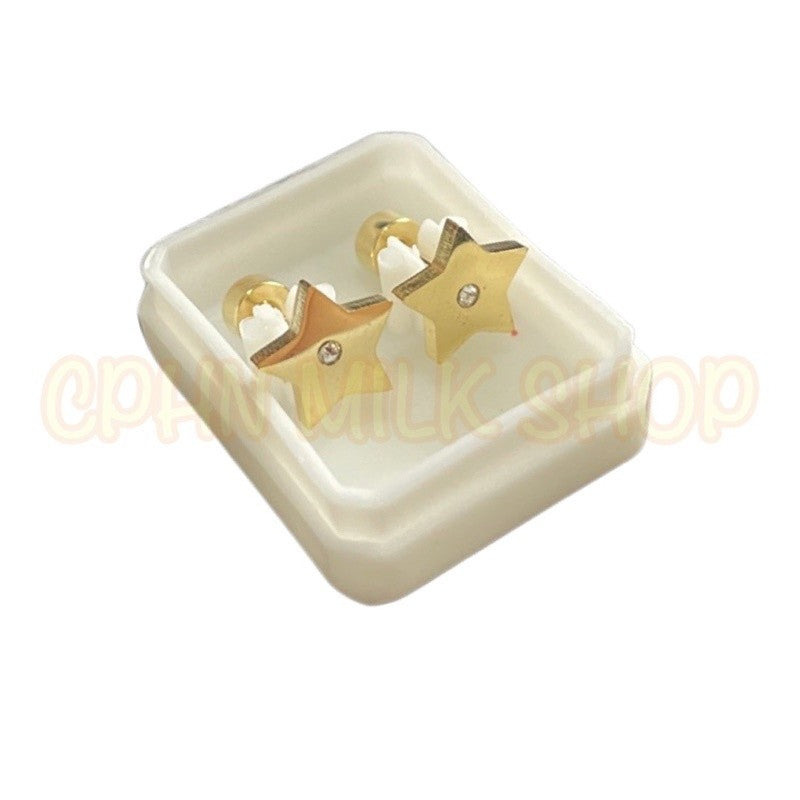 Stainless Steel Earrings