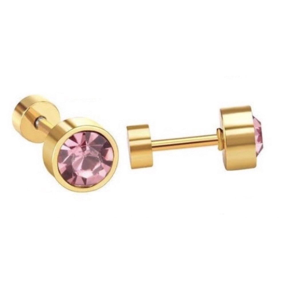 Stainless Steel Earrings Birthstone Donut