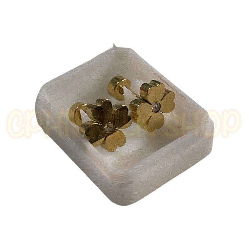 Stainless Steel De Roscas Earrings