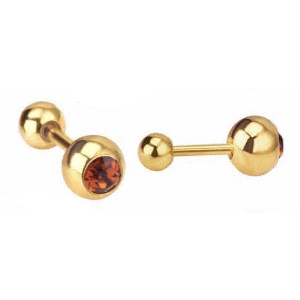 Stainless Steel Earrings Birthstone Ball