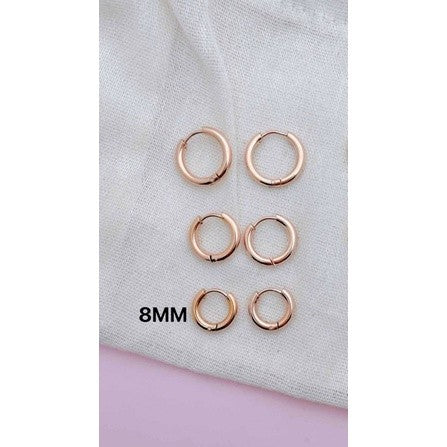 Stainless Steel Earrings Loop