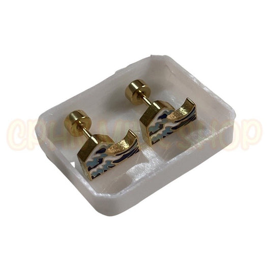 Stainless Steel Earrings Wave