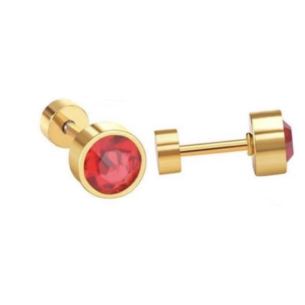 Stainless Steel Earrings Birthstone Donut