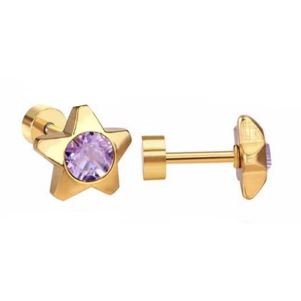 Stainless Steel Earrings Birthstone Star