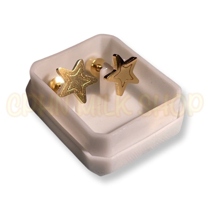 Stainless Steel Earrings Star