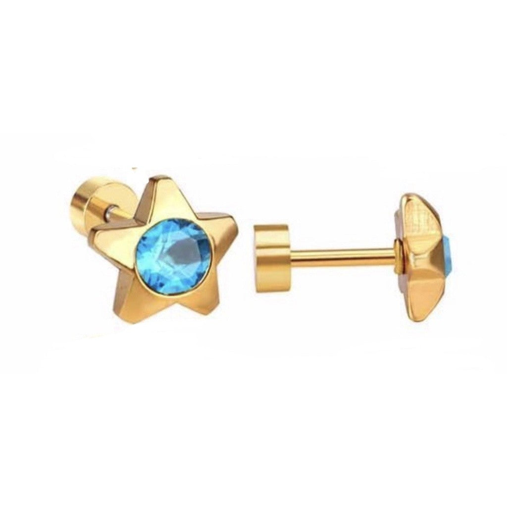 Stainless Steel Earrings Birthstone Star