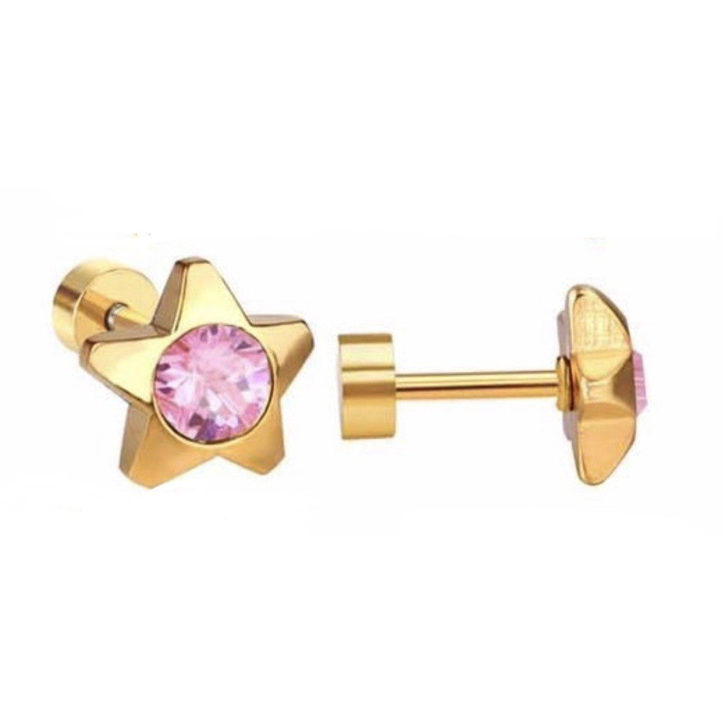 Stainless Steel Earrings Birthstone Star