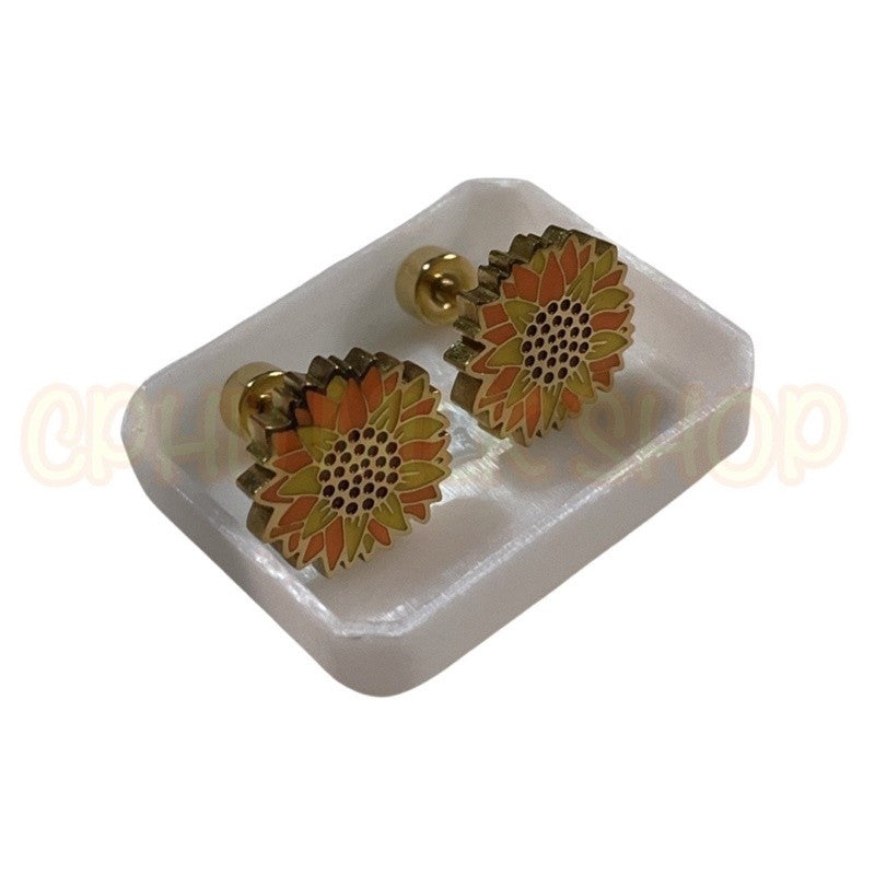 Stainless Steel De Roscas Earrings