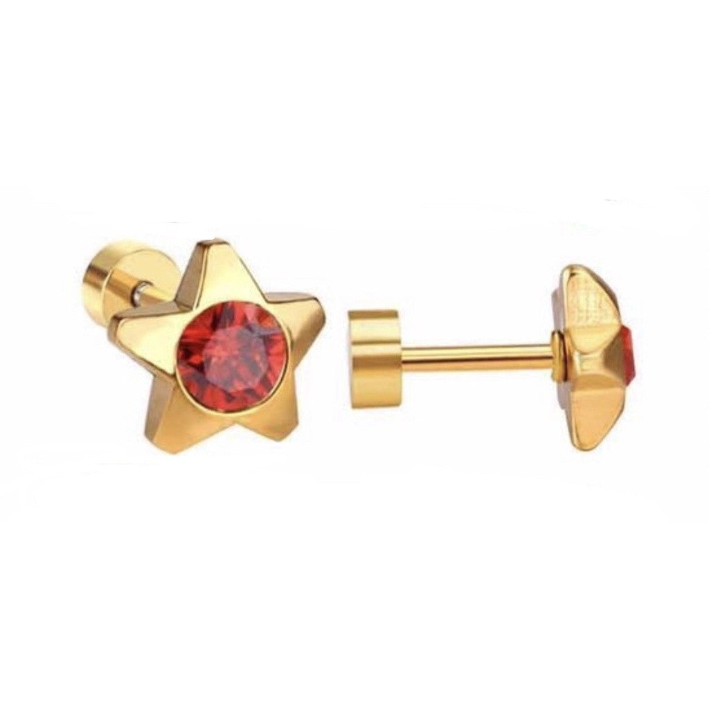 Stainless Steel Earrings Birthstone Star