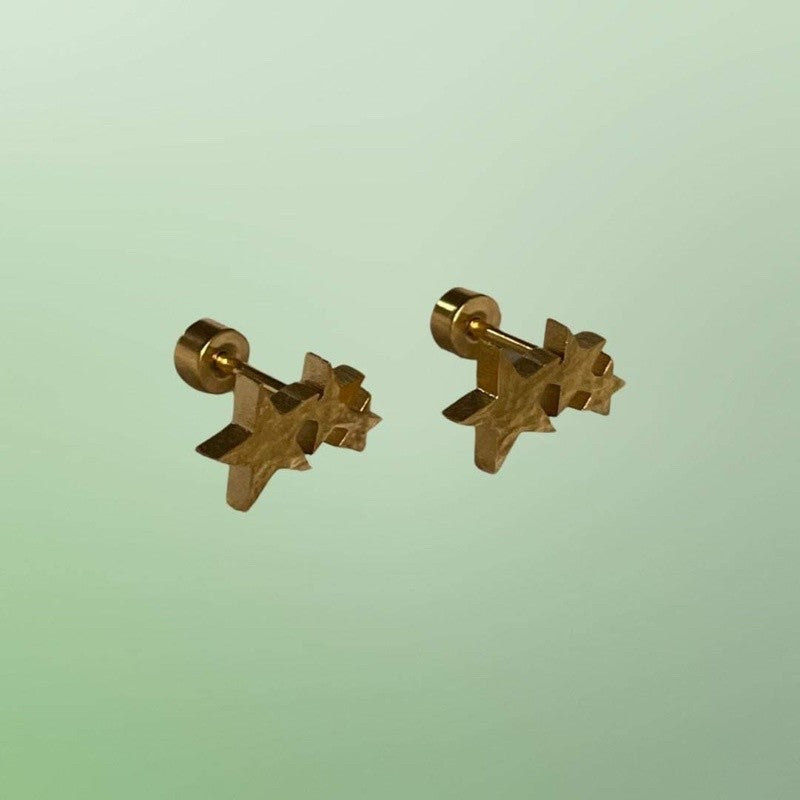 Stainless Steel Earrings Stars