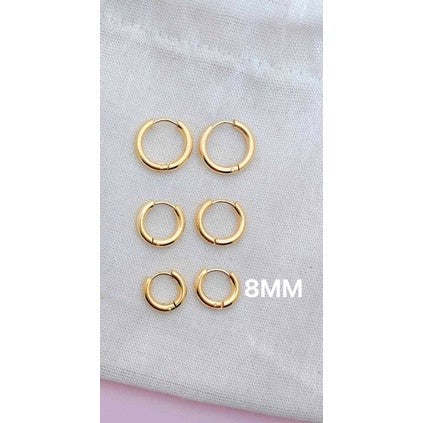Stainless Steel Earrings Loop