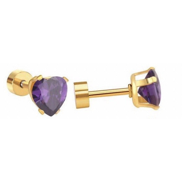 Stainless Steel Earrings Stone Heart
