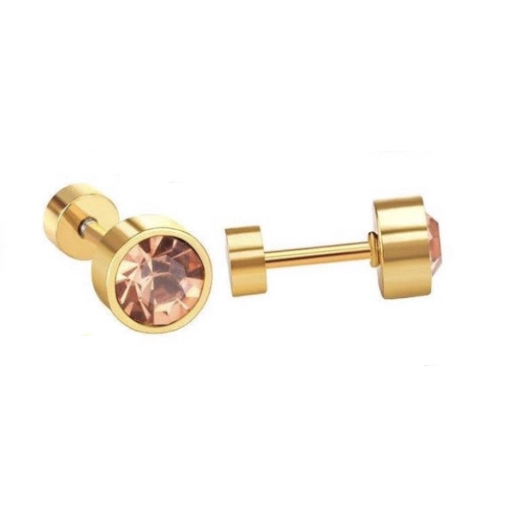 Stainless Steel Earrings Birthstone Donut