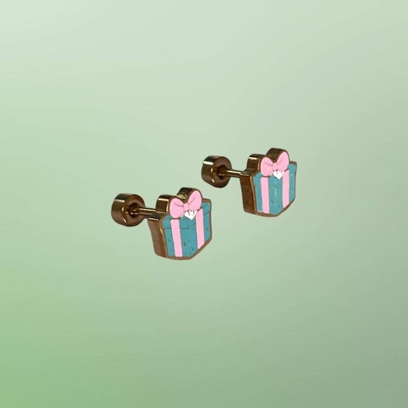 Stainless Steel Earrings Giftbox