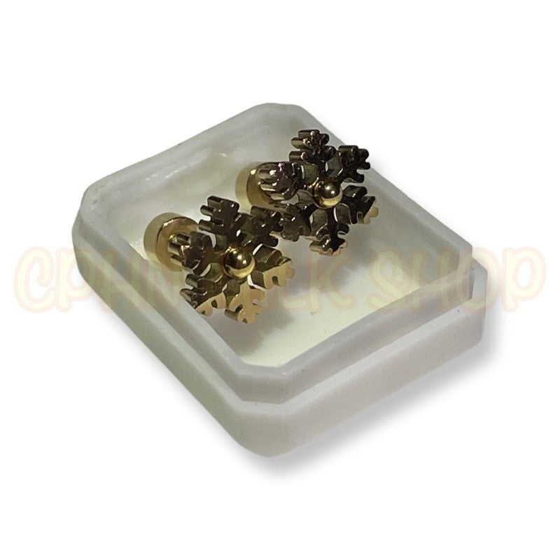 Stainless Steel Earrings Snowflake