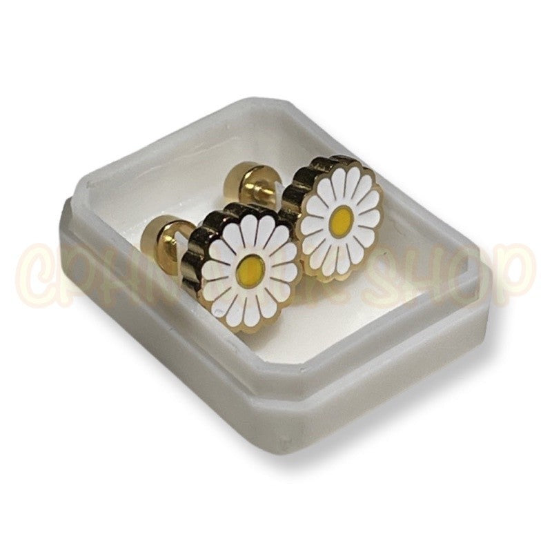 Stainless Steel De Roscas Earrings