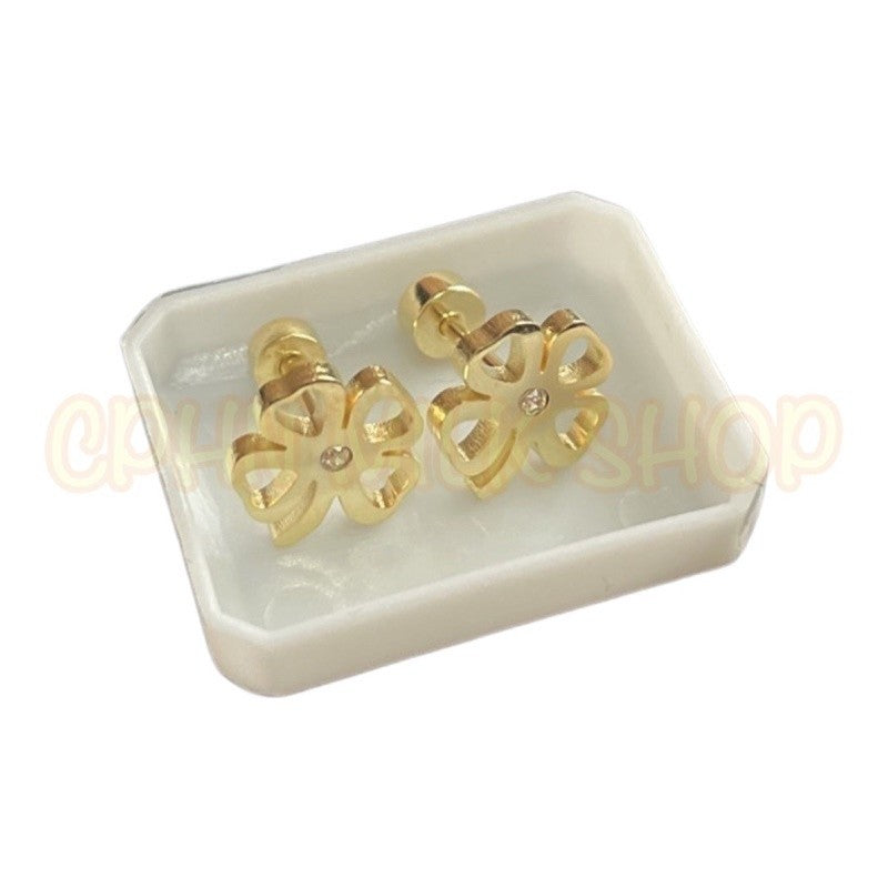 Stainless Steel Earrings