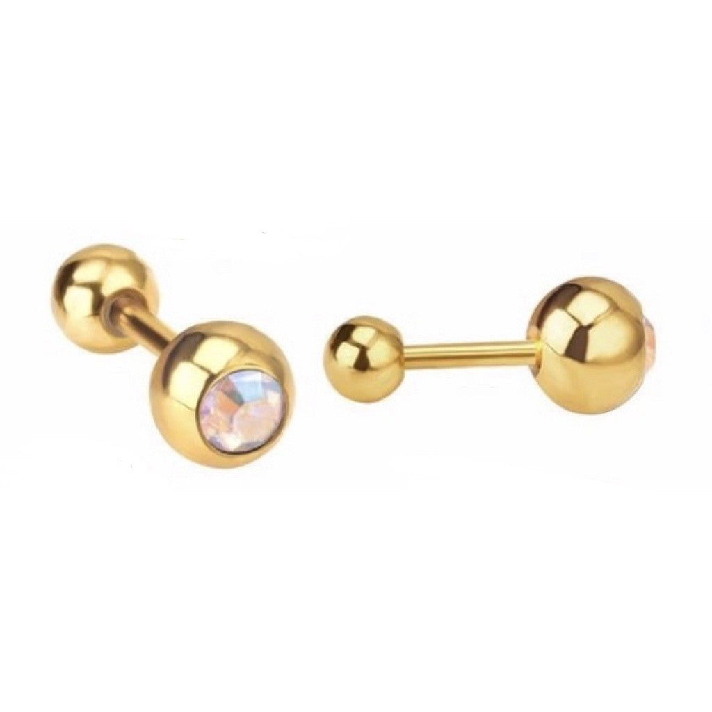 Stainless Steel Earrings Birthstone Ball