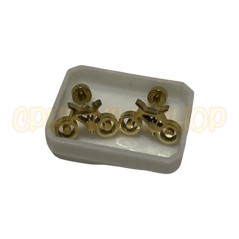 Stainless Steel Earrings