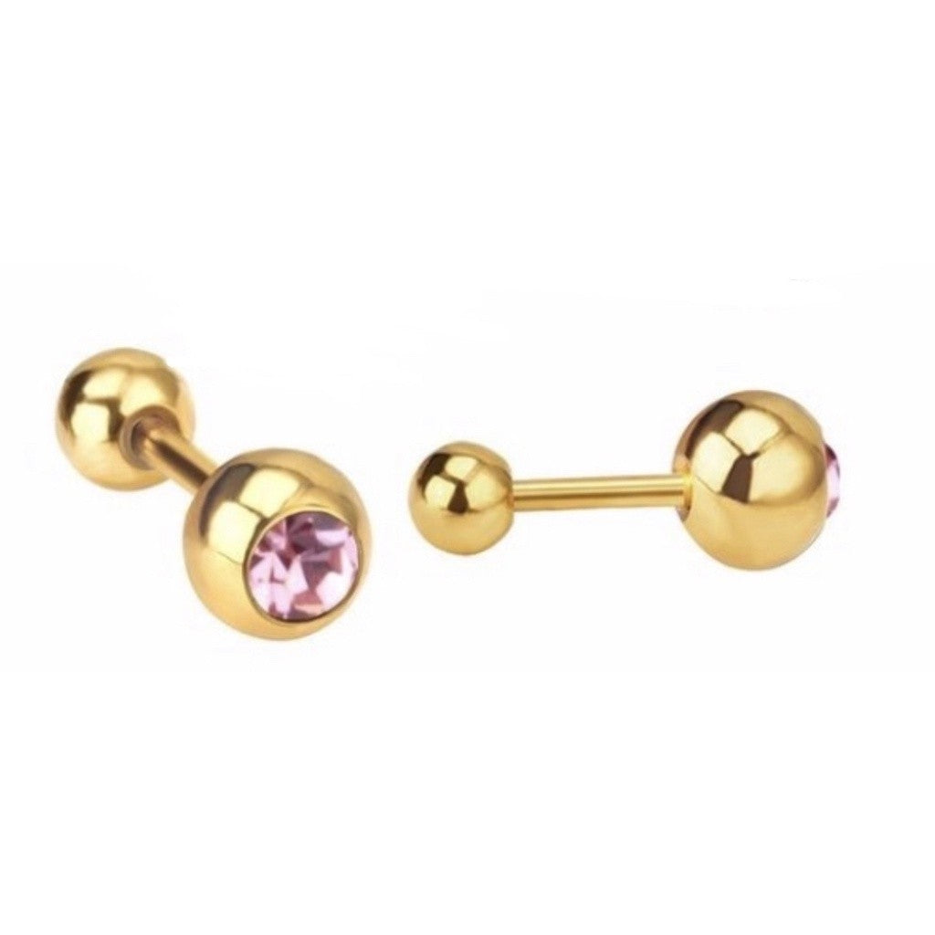 Stainless Steel Earrings Birthstone Ball