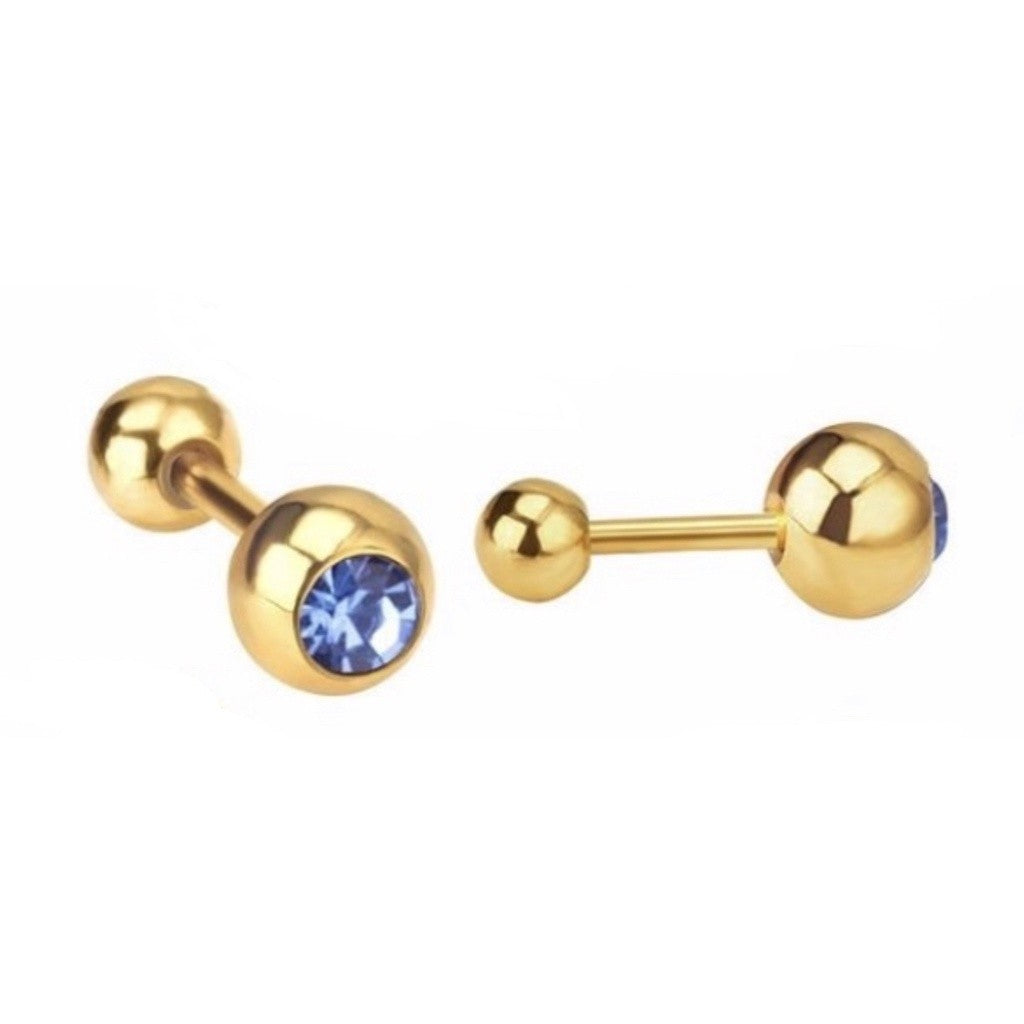Stainless Steel Earrings Birthstone Ball