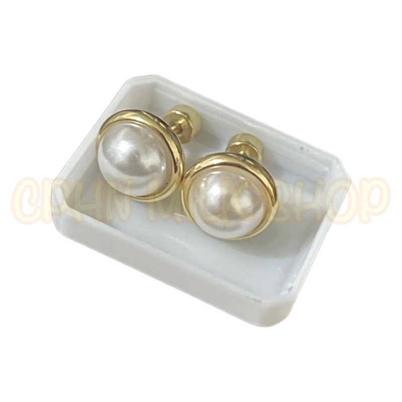Stainless Steel Earrings