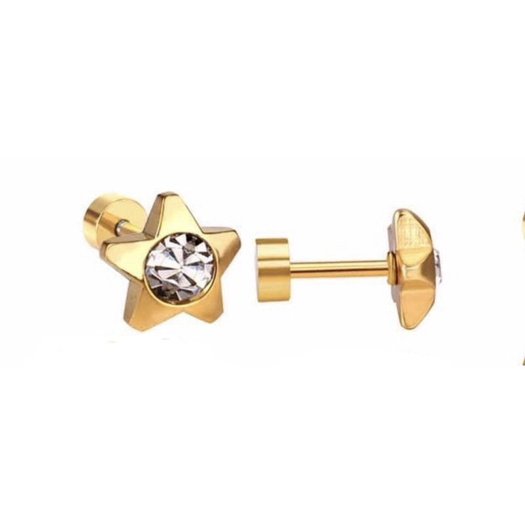 Stainless Steel Earrings Birthstone Star
