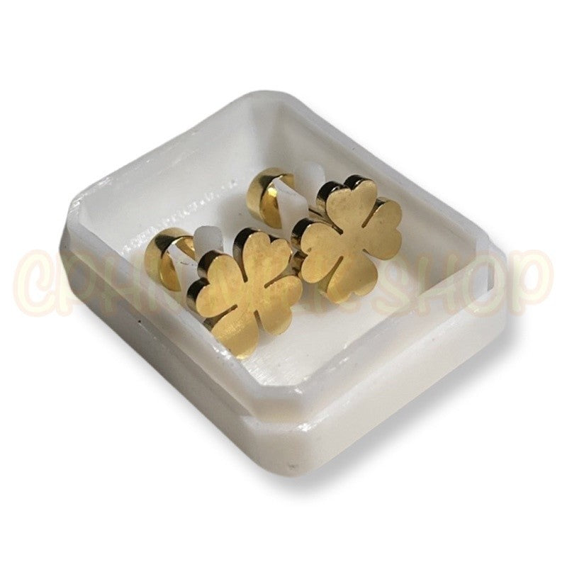 Stainless Steel De Roscas Earrings