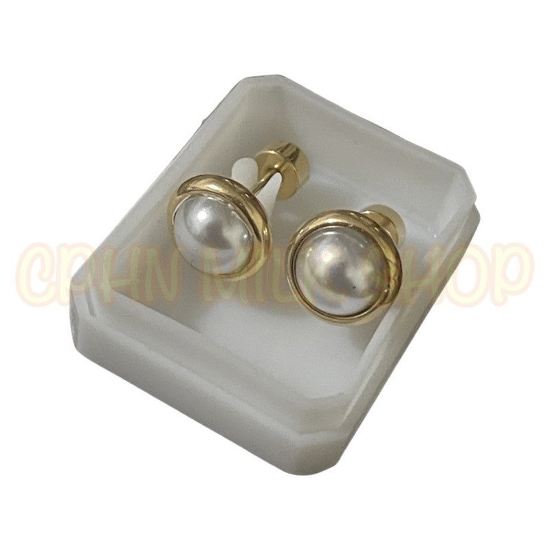 Stainless Steel Earrings