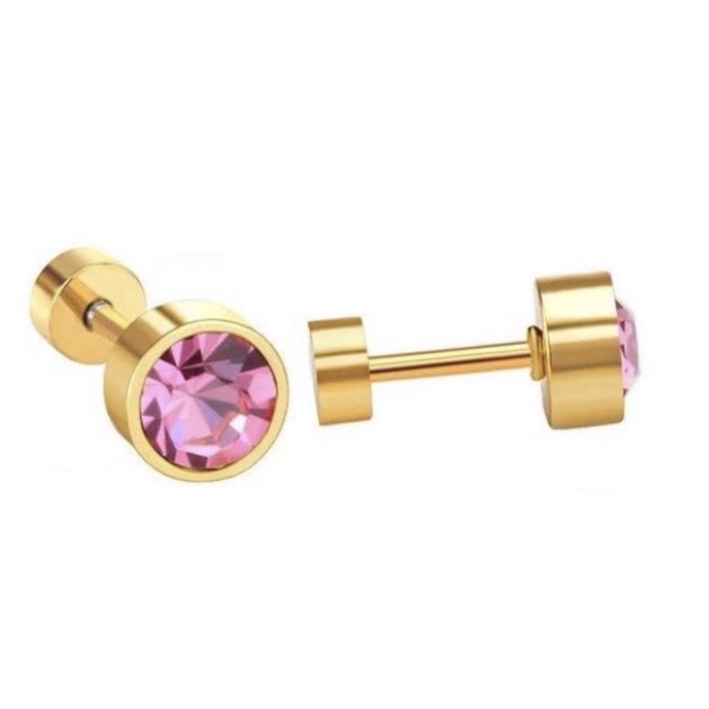 Stainless Steel Earrings Birthstone Donut