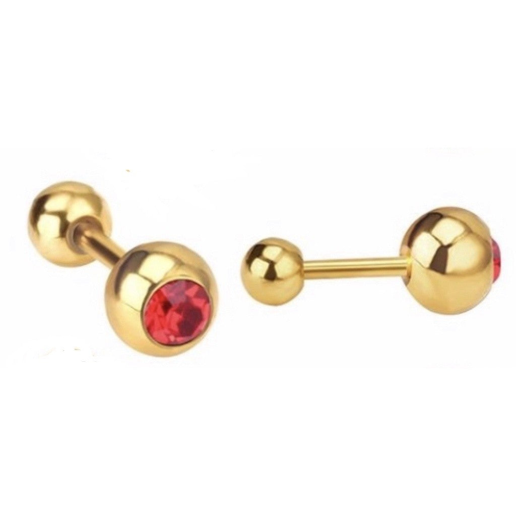 Stainless Steel Earrings Birthstone Ball