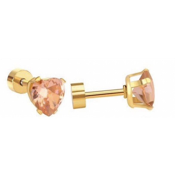Stainless Steel Earrings Stone Heart