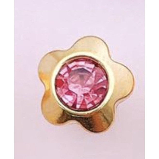 Stainless Steel Earrings Birthstone Flower