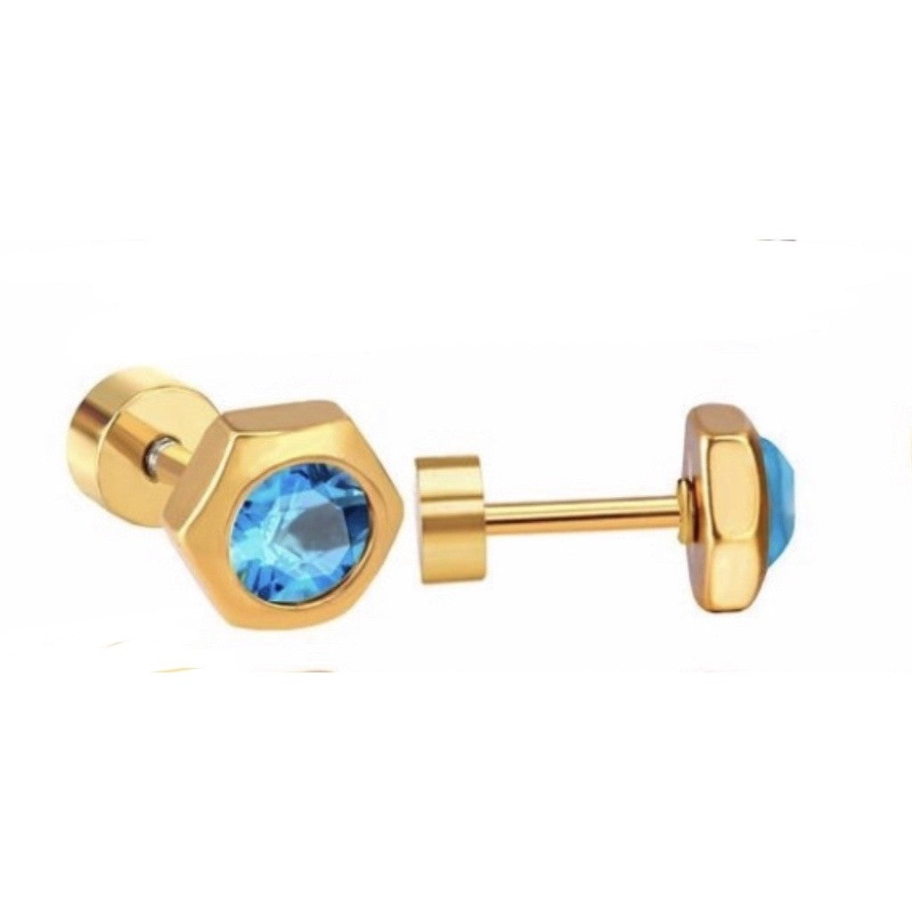 Stainless Steel Earrings Birthstone Hexagon