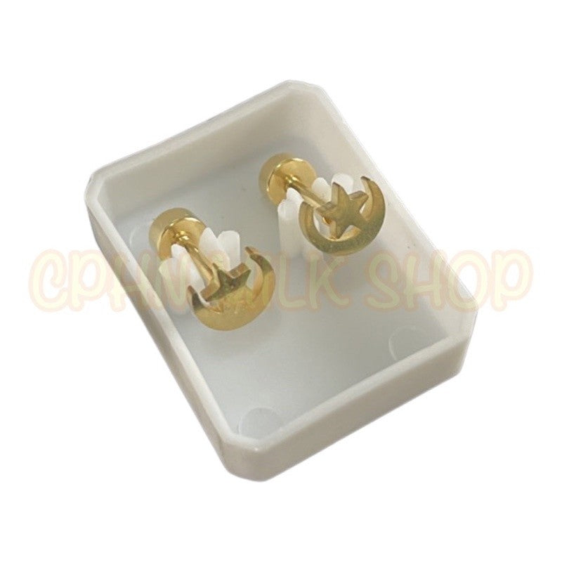 Stainless Steel Earrings