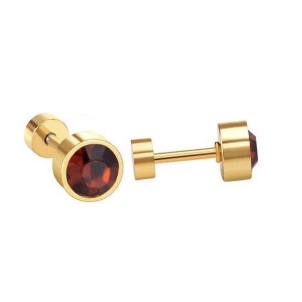 Stainless Steel Earrings Birthstone Donut