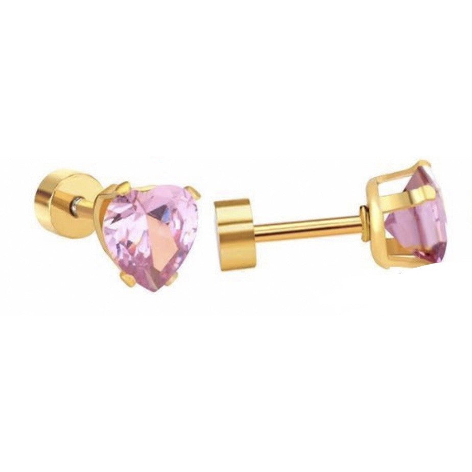 Stainless Steel Earrings Stone Heart