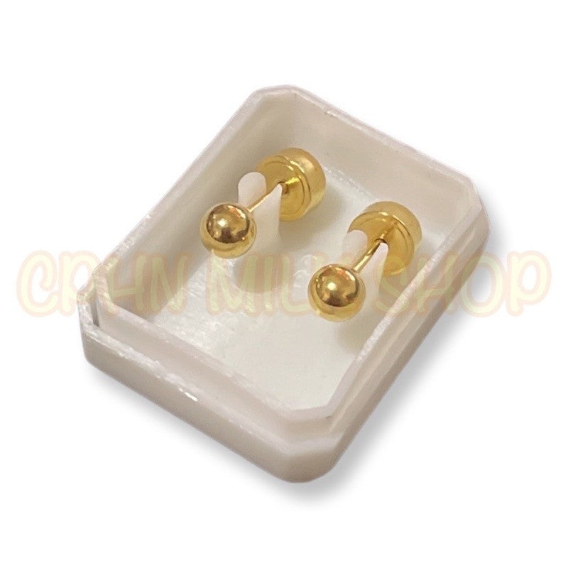 Stainless Steel De Roscas Earrings