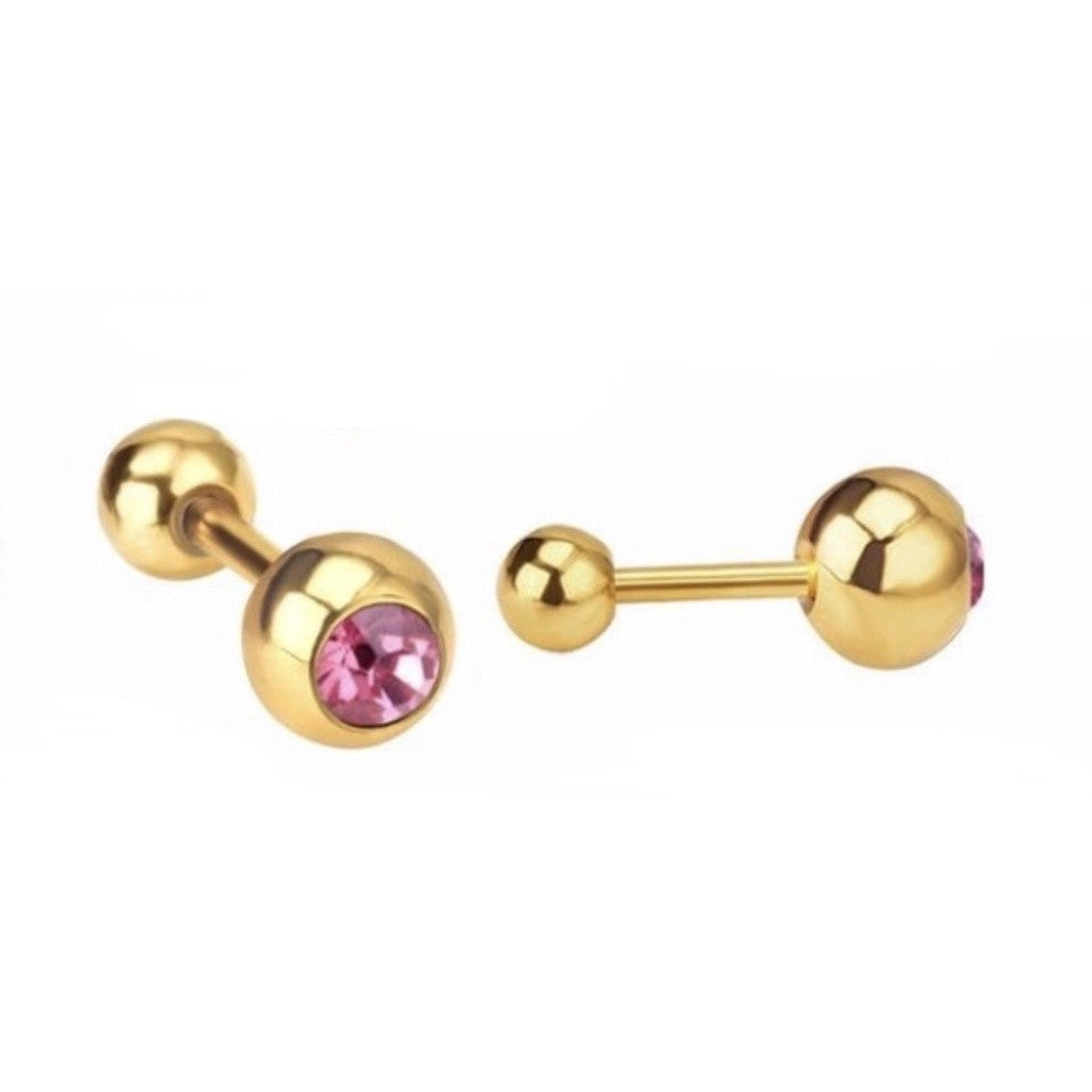 Stainless Steel Earrings Birthstone Ball