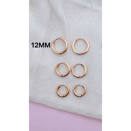 Stainless Steel Earrings