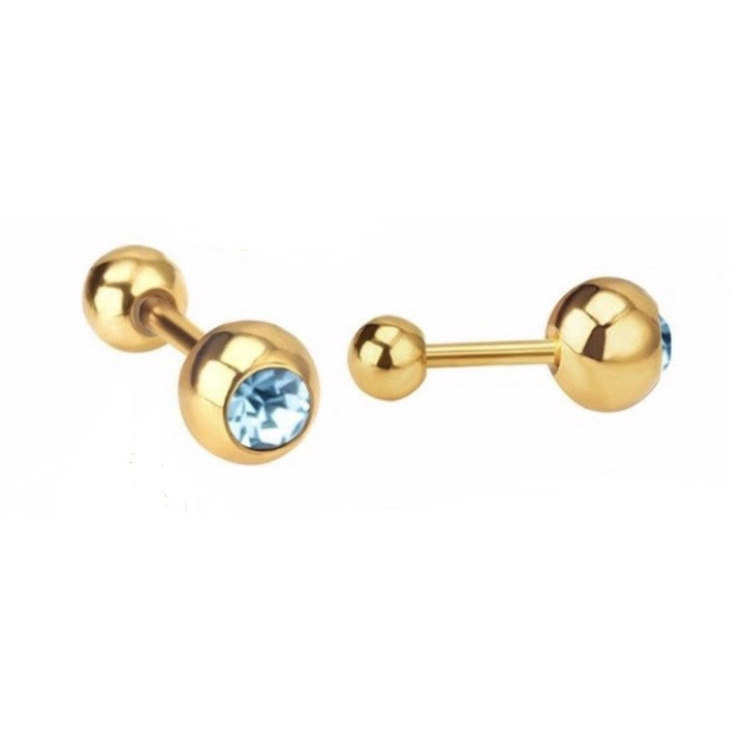 Stainless Steel Earrings Birthstone Ball