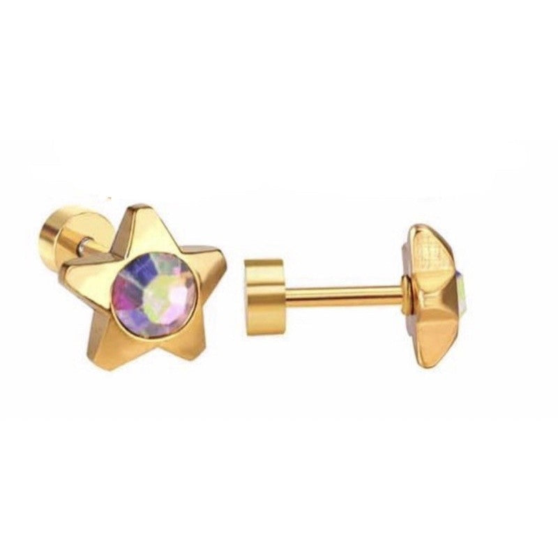 Stainless Steel Earrings Birthstone Star