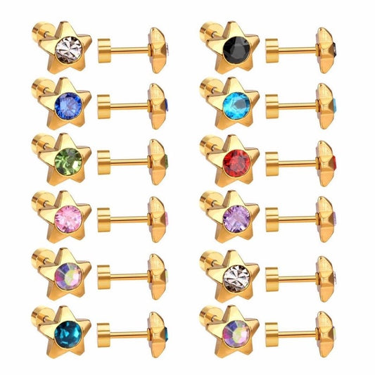 Stainless Steel Earrings Birthstone Star